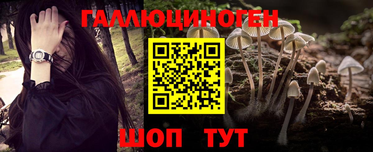 Псилоцибиновые грибы мицелий Тверь